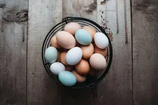 What gives eggs their color?