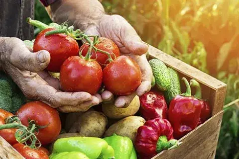 Benefits of eating seasonal produce