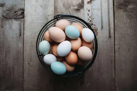 ¿A qué se debe el color de los huevos?