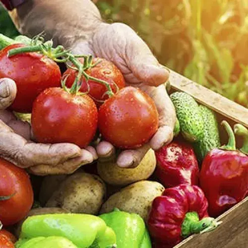 Benefits of eating seasonal produce