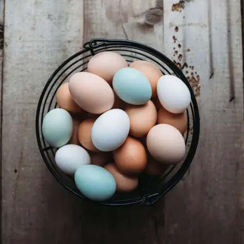 What gives eggs their color?